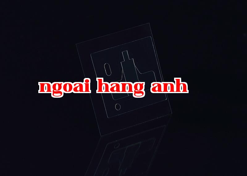 Phim phân cực